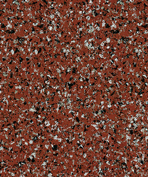 2022.6.22_8.49.28_8267