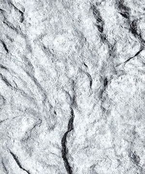 2025.4.12_17.51.33_8834